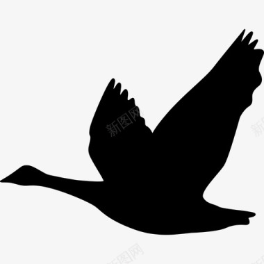 鹅动物鸟的剪影图标图标