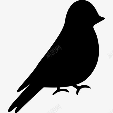 麻雀动物鸟的轮廓图标图标