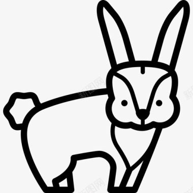 兔子森林动物直系图标图标