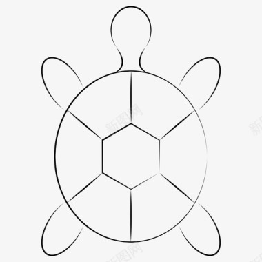 乌龟动物手绘宠物图标图标