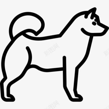 哈士奇狗品种丰满直系图标图标
