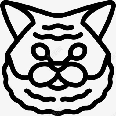 塞尔柯克雷克斯猫动物猫科动物图标图标