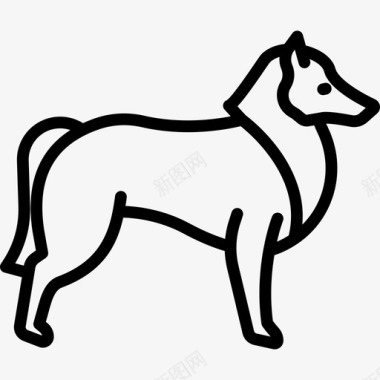 牧羊犬犬种全身直系图标图标