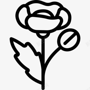 罂粟自然植物和花朵图标图标