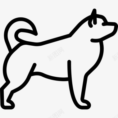 阿拉斯加犬犬种全身直系图标图标