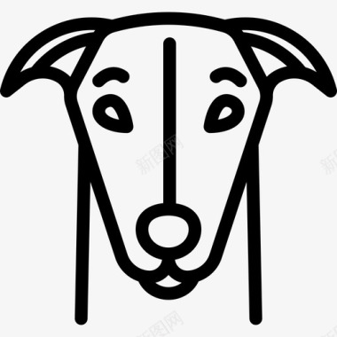 灰狗狗种头直系图标图标