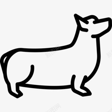 科吉犬犬种全身直系图标图标