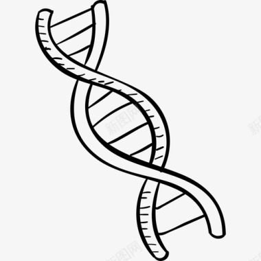 工作证制作DNA学校手工制作黑色图标图标