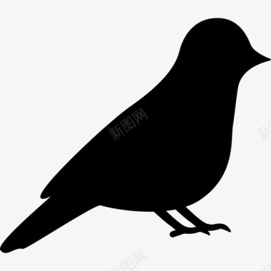 动物鸽子动物鸟的剪影图标图标