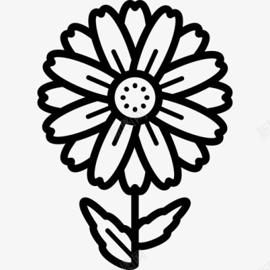 雏菊细密的花线形图标图标