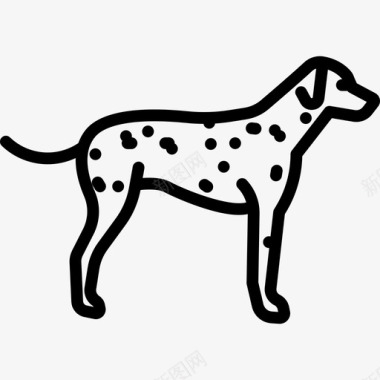 达尔马提亚犬犬种全身直系图标图标