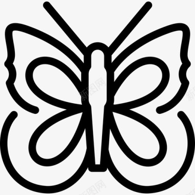 大理石白色蝴蝶蝴蝶1线形图标图标