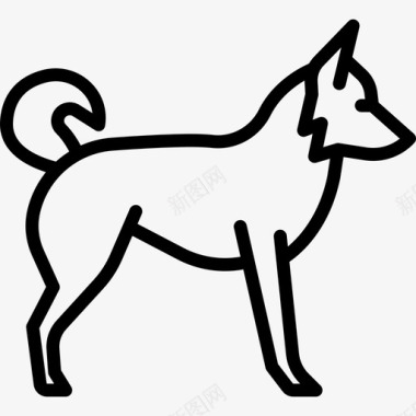 边境牧羊犬犬种全身直系图标图标