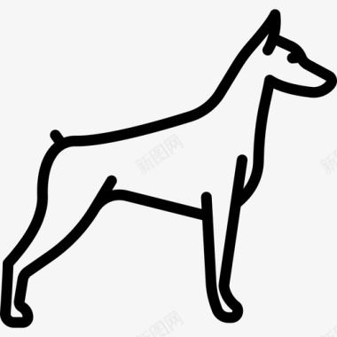 杜宾犬犬种全身直系图标图标