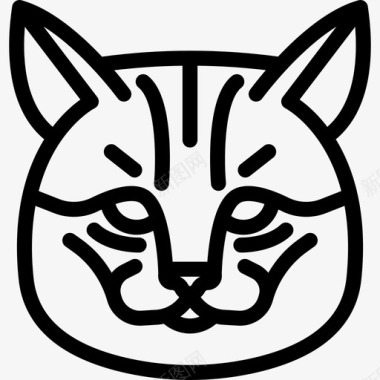 千岛短尾猫动物猫科动物图标图标
