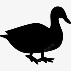 鸭子的剪影鸭子动物鸟的剪影图标高清图片