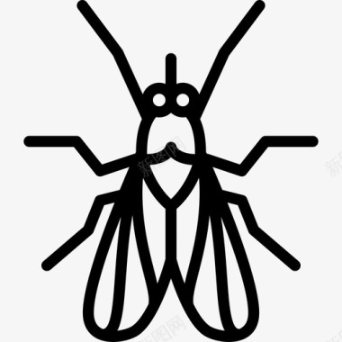 苍蝇昆虫直系图标图标