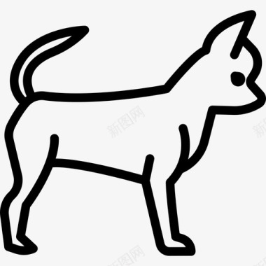 狗吉娃娃狗品种全身直系图标图标
