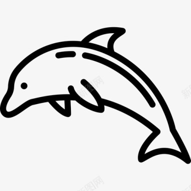 海豚海上度假直系图标图标