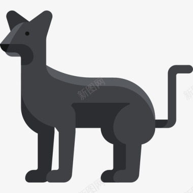 豹子动物图案套装扁平图标图标