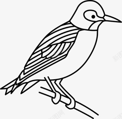 八哥鸟英国图标图标
