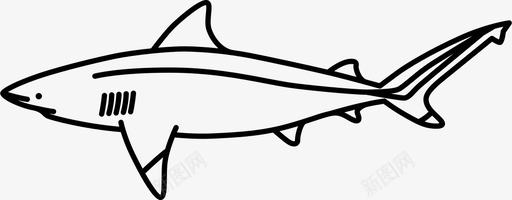 黑鳍礁鲨猎人捕食者图标图标
