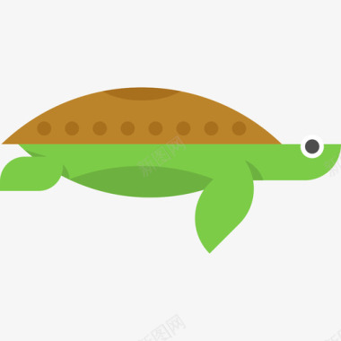 海龟动物海洋生物收藏图标图标