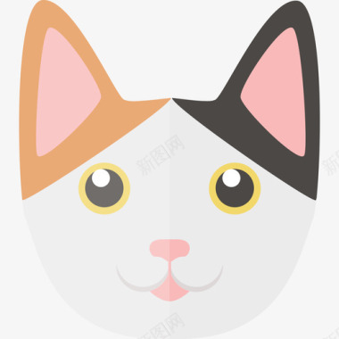 日本短尾猫动物猫套装图标图标