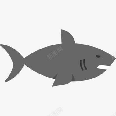 鲨鱼动物海洋生物收藏图标图标