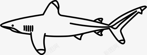 大洋白鳍鲨沉船鲨鱼图标图标
