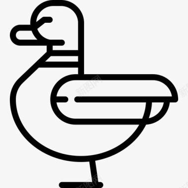 鸭子在农场里直系的图标图标