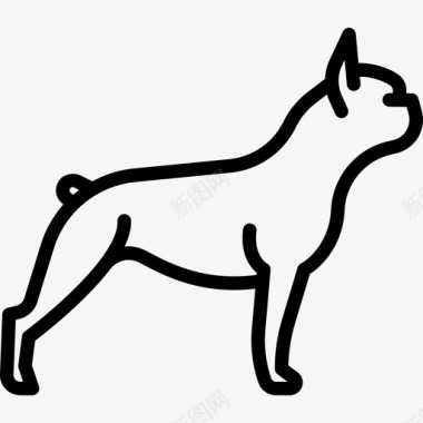 法国斗牛犬犬种全身直系图标图标
