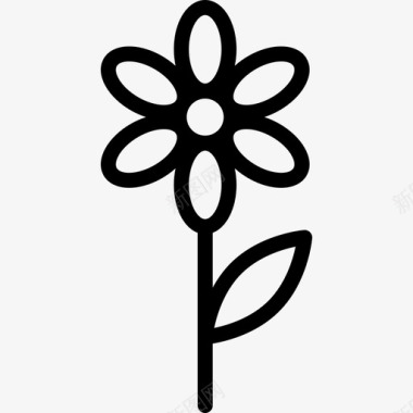 甘菊自然植物和花卉图标图标