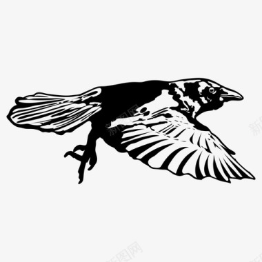 飞翔的翅膀乌鸦小鸟黑色图标图标