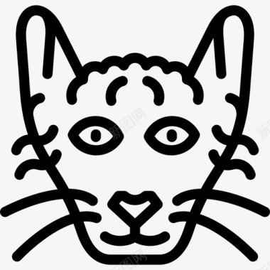 拉珀猫猫品种直系图标图标