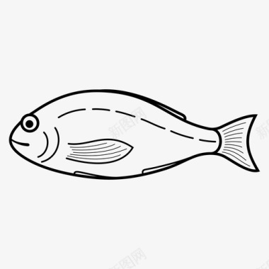 多拉多鱼新鲜海鱼图标图标