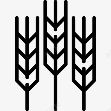 小麦农场里的直系的图标图标