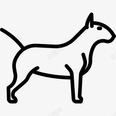 牛头犬犬种全身直系图标图标