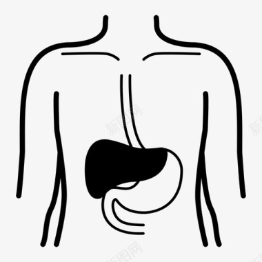 人体架构肝脏身体医院图标图标