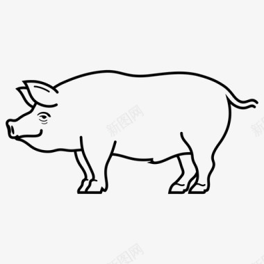 财神猪家猪动物哺乳动物图标图标