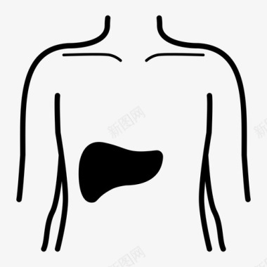 肝脏科室肝脏身体医院图标图标
