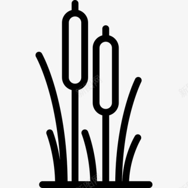 芦苇自然植物和花卉图标图标