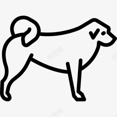 藏獒犬种丰满直系图标图标