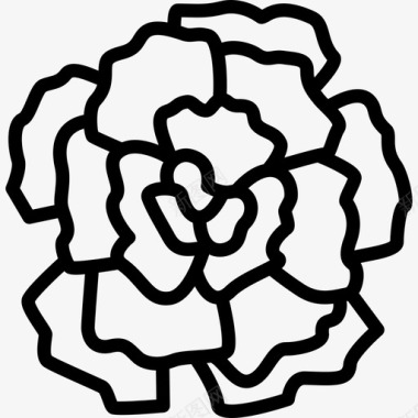 康乃馨花1线形图标图标