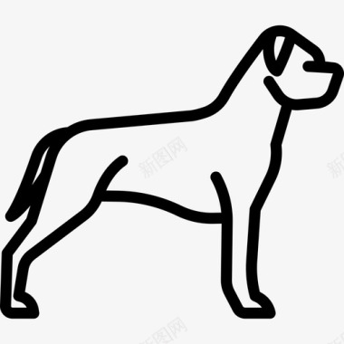 美国斯塔福德郡梗犬种全身直系图标图标