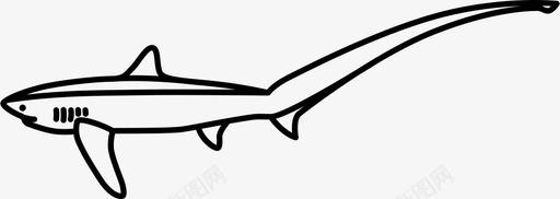 普通脱粒鲨捕食者猛禽图标图标