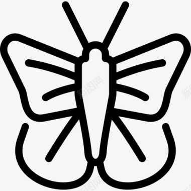 贝母蝶蝴蝶1线状图标图标