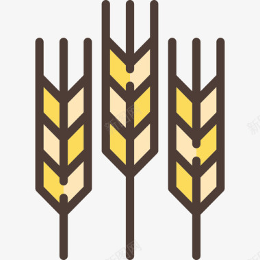 小麦线性彩色农艺元素线性颜色图标图标