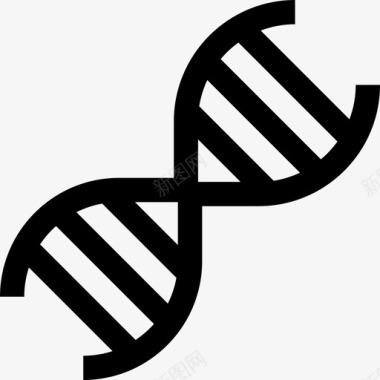 多彩DNADna回到学校11直系图标图标