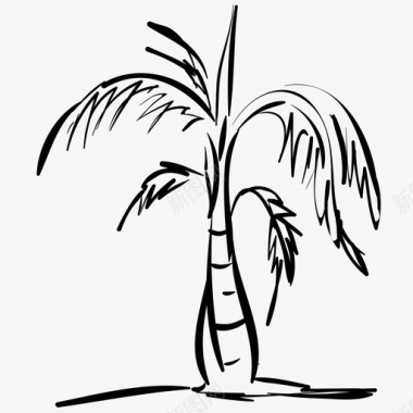 棕榈植物外来植物图标图标